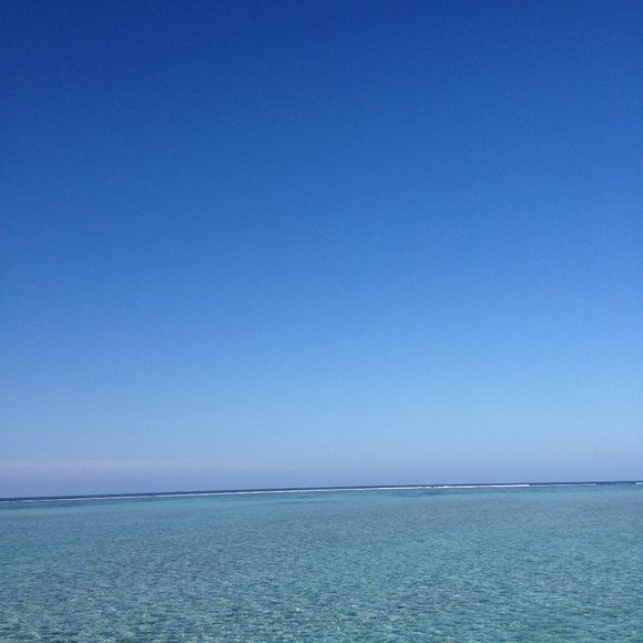 Meet your Posher, Kimmie - Picture 1 of 1